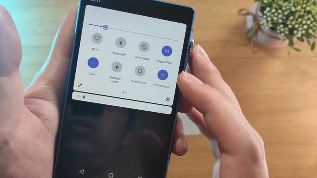 ?Raja Baru DAP - REVIEW DAP IBASSO DX170