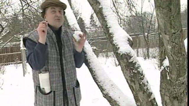 Весенний сад. Как избежать солнечных ожогов смотреть онлайн