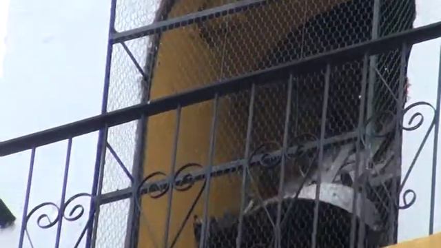 Guirao Films - XV Años Alejandra Guadalupe - Trailer смотреть онлайн