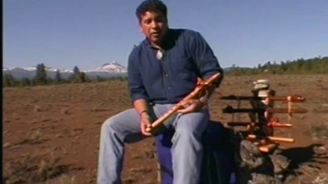 Play the Trees! An Introduction to the Native American Style Flute by Ward Jene Stroud смотреть онлайн