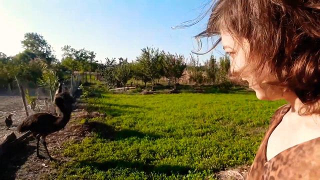 Эму, привет!