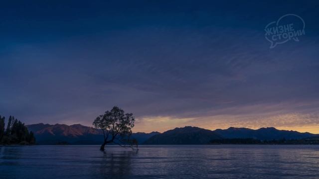 Свекровь ничем не помогает, зато раздает советы, о которых ее никто не просит