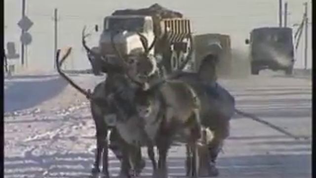 Настольгия по Ямбургу.Часть 7. смотреть онлайн