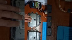 клонирование эбу ниссан тиида
