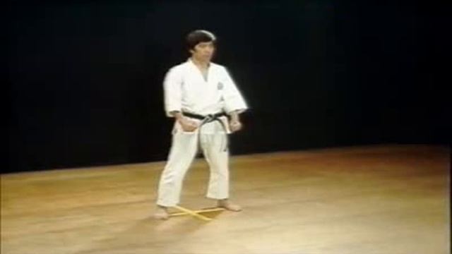 18 Kata Chinte Shotokan Karate Hirokazu Kanazawa смотреть онлайн