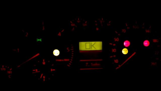 Холодный запуск -19 Audi A4 1.9 AFN смотреть онлайн