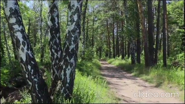 днём 24.08 2 смотреть онлайн
