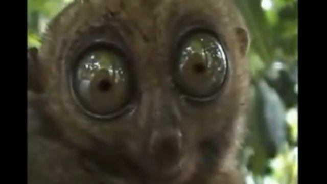 Зарплаты не будет)) смотреть онлайн