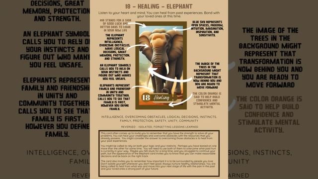 PRINTABLE CARD Deck - Animal Spirit Oracle Card Deck - Oracle / Tarot Sized Cards 3x5 - US Letter смотреть онлайн