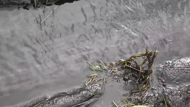 Русский чернозём. смотреть онлайн