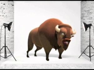 Мультстудия