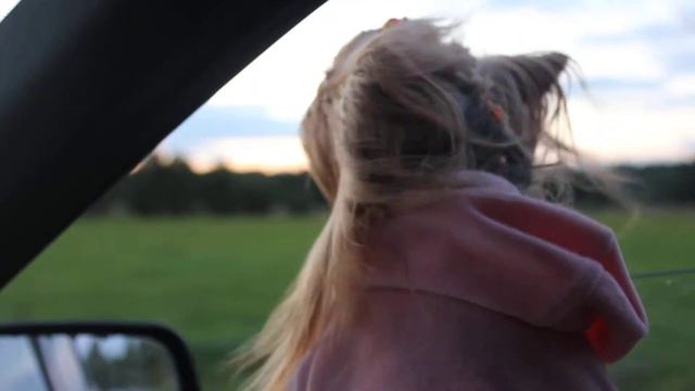 Йорк Ленинград - "еду в магадан" смотреть онлайн