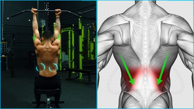 The Best Science-Based PULL Workout For Growth (Back/Biceps/Rear Delts) смотреть онлайн