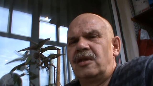 КАК ПОХУДЕТЬ// -30 ЗА 6 МЕСЯЦЕВ//