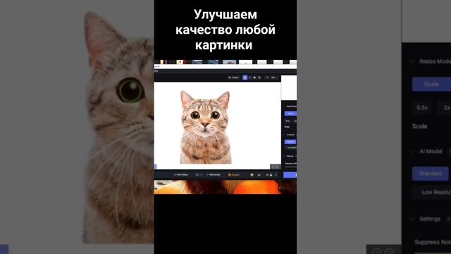 Как улучшить качество любой картинки #photoshop #fypシ #ps #design смотреть онлайн