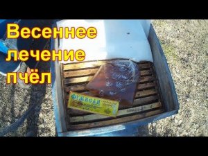 Весенняя стимуляция пчел, профилактика от нозематоза, обработка от клеща