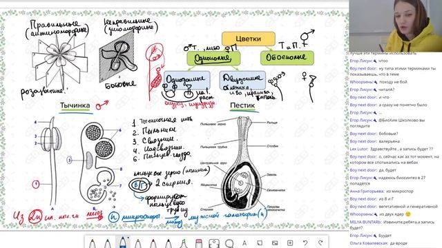 Биология. ЕГЭ2021. Генеративные органы