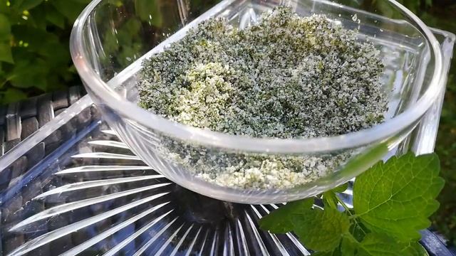 Зелёные запасы.Ароматная соль с лечебной меллисой.Заготовка мелиссы на зиму. смотреть онлайн