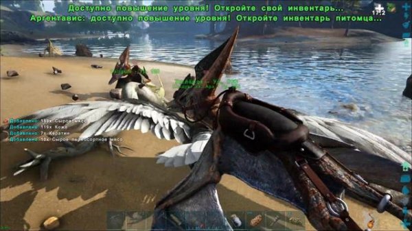 ARK Survival Evolved (The Island, кооп) #11 Кастороидес