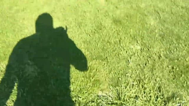 В Краснодар пришла весна! смотреть онлайн