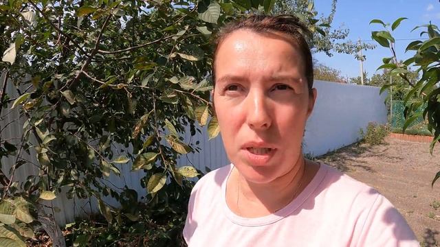 Огород опустел. Больше сажать не буду. Всё засохло. Жизнь на Юге России. смотреть онлайн