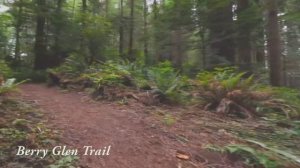 Медитация на Руну Уруз