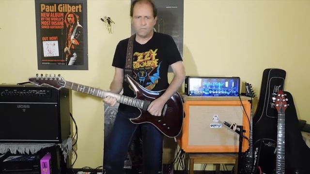 Agotamiento funcional / Schecter Hellraiser Avenger смотреть онлайн