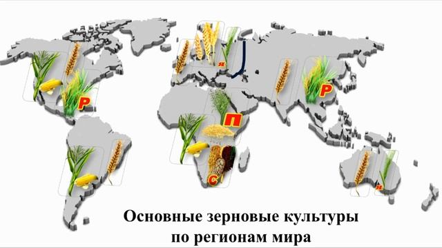 Население и его хозяйственная деятельность. Тема 7. Растениеводство. География выращивания культур смотреть онлайн