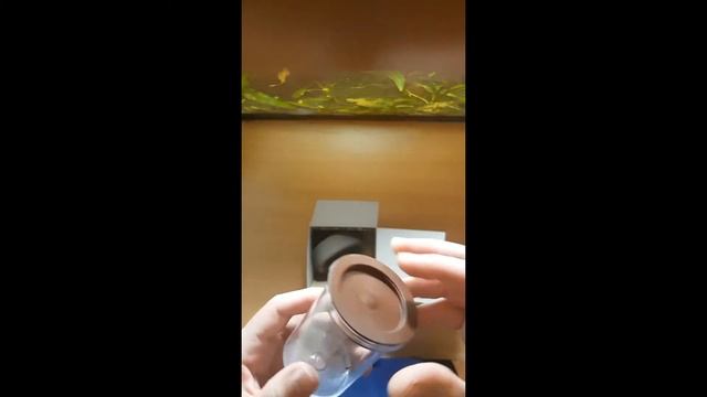 Söchting Oxydator D