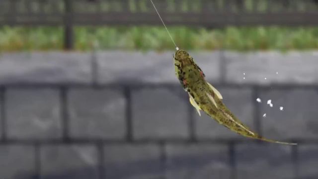 Negaposi Angler [Негативный позитивный рыбак] - Анонс - Тизер (2024) смотреть онлайн