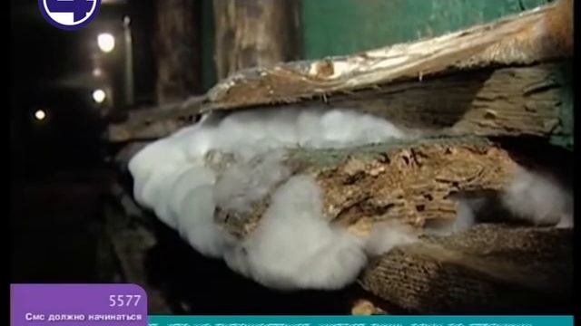 Всё путём. УРАЛ! Программа о путешествиях с Галамартовной! Золотой рудник. смотреть онлайн