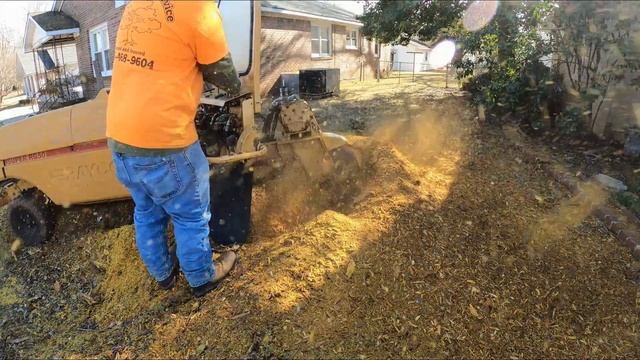 The Hardest Stump Removal