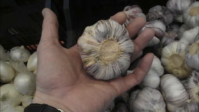 Чеснок с кулак гигант Garlic with a giant fist смотреть онлайн