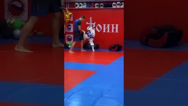 Тренировки по каратэ смотреть онлайн