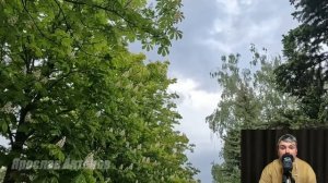 Дом с чужими тайнами