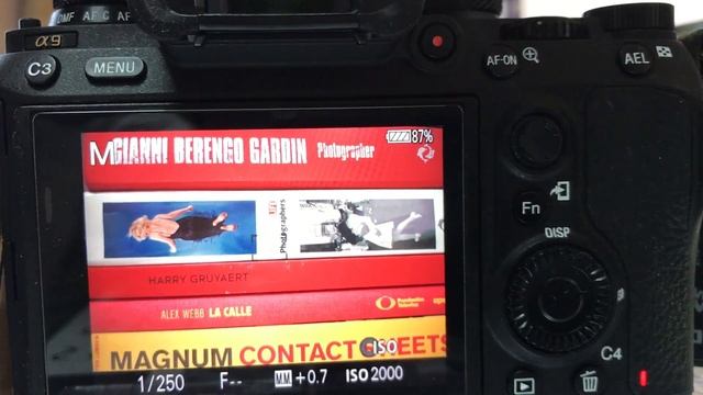 Sony A9 20fps & buffer смотреть онлайн