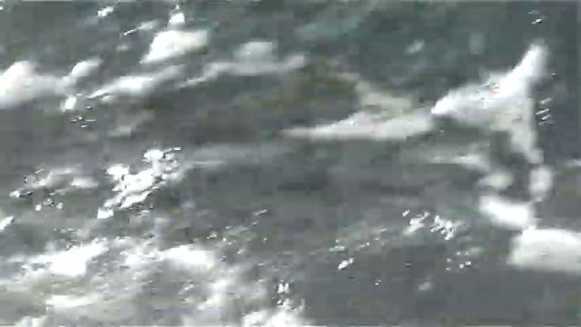 Лидзава-2011(сентябрь) 5 км. от Пицунды!!!.Абхазия!!. смотреть онлайн