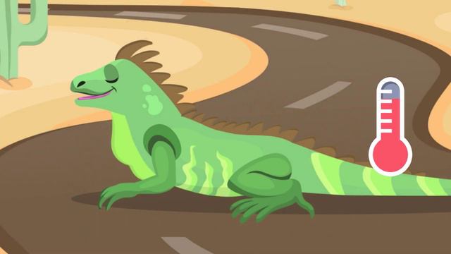 Reptiles For Kids - Vertebrate Animals - Natural Science For Kids
