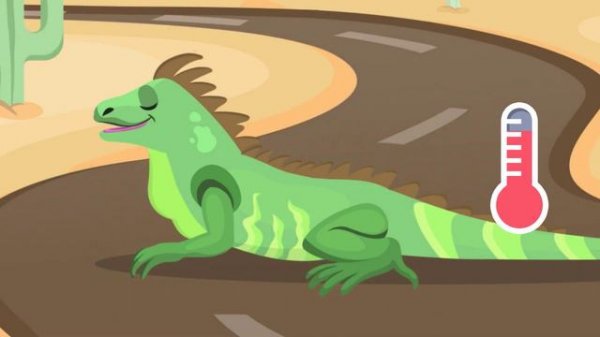 Reptiles for kids - Vertebrate animals - Natural Science For Kids