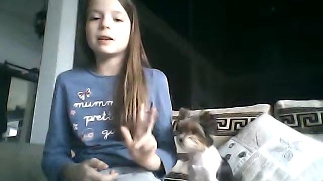 Воспитание и содержание собаки в вольере . Полусонная Рифи )))) смотреть онлайн