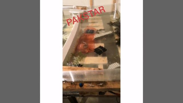 Обзор на наш УЗВ. Австралийские раки. смотреть онлайн