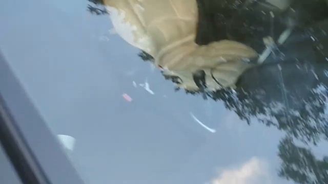 Как остановить трещину на лобовом стекле. Сверлим и всё норм! смотреть онлайн