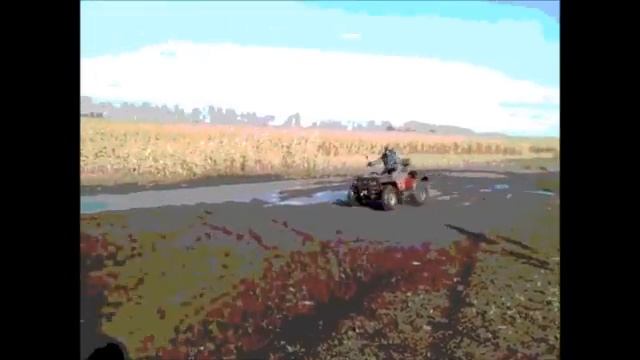 А я на квадре. смотреть онлайн