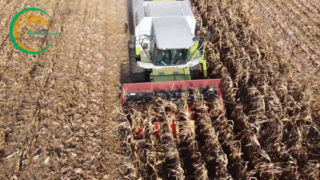 Claas Mega 360 / Zetor 16145 / Deutz Fahr Agrotron 150 // Kukurica 2021 смотреть онлайн
