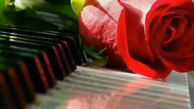 İnta Muallim Elmeddin Sintez 051-631-32-77  2017