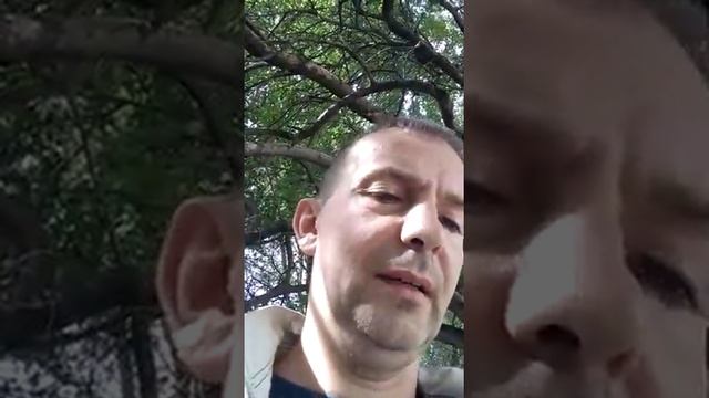 стих Русь моя смотреть онлайн