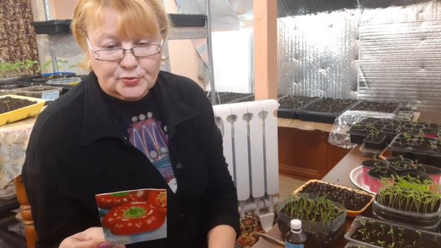 Чтобы получить хороший урожай перца, надо... смотреть онлайн