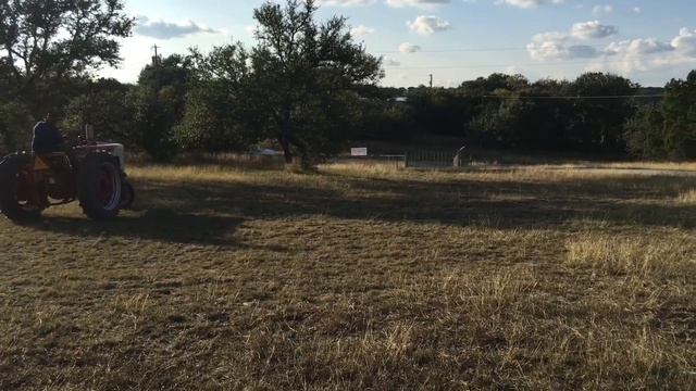 IH Farmall Model M at www.TexasBid.com смотреть онлайн