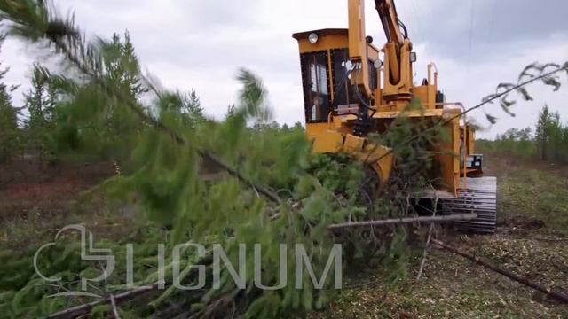 LIGNUM Bandit 2090 TK (лето) смотреть онлайн