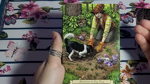 Everyday Witch Oracle (Повседневный Оракул Ведьмы). Обзор оригинального издания от Llewellyn. смотреть онлайн